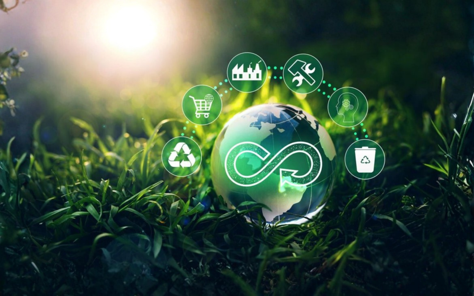 Economia Circular Além da Indústria: Como Pequenos Negócios Podem se Beneficiar