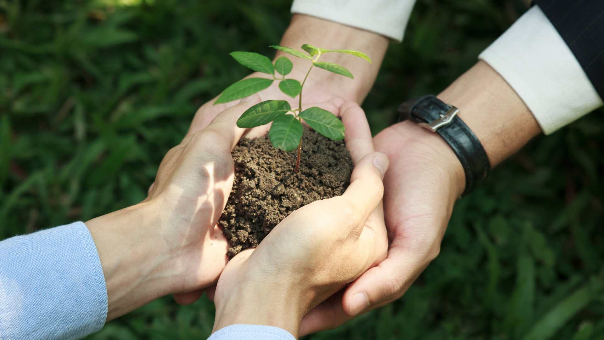 Entenda o que é responsabilidade ambiental corporativa