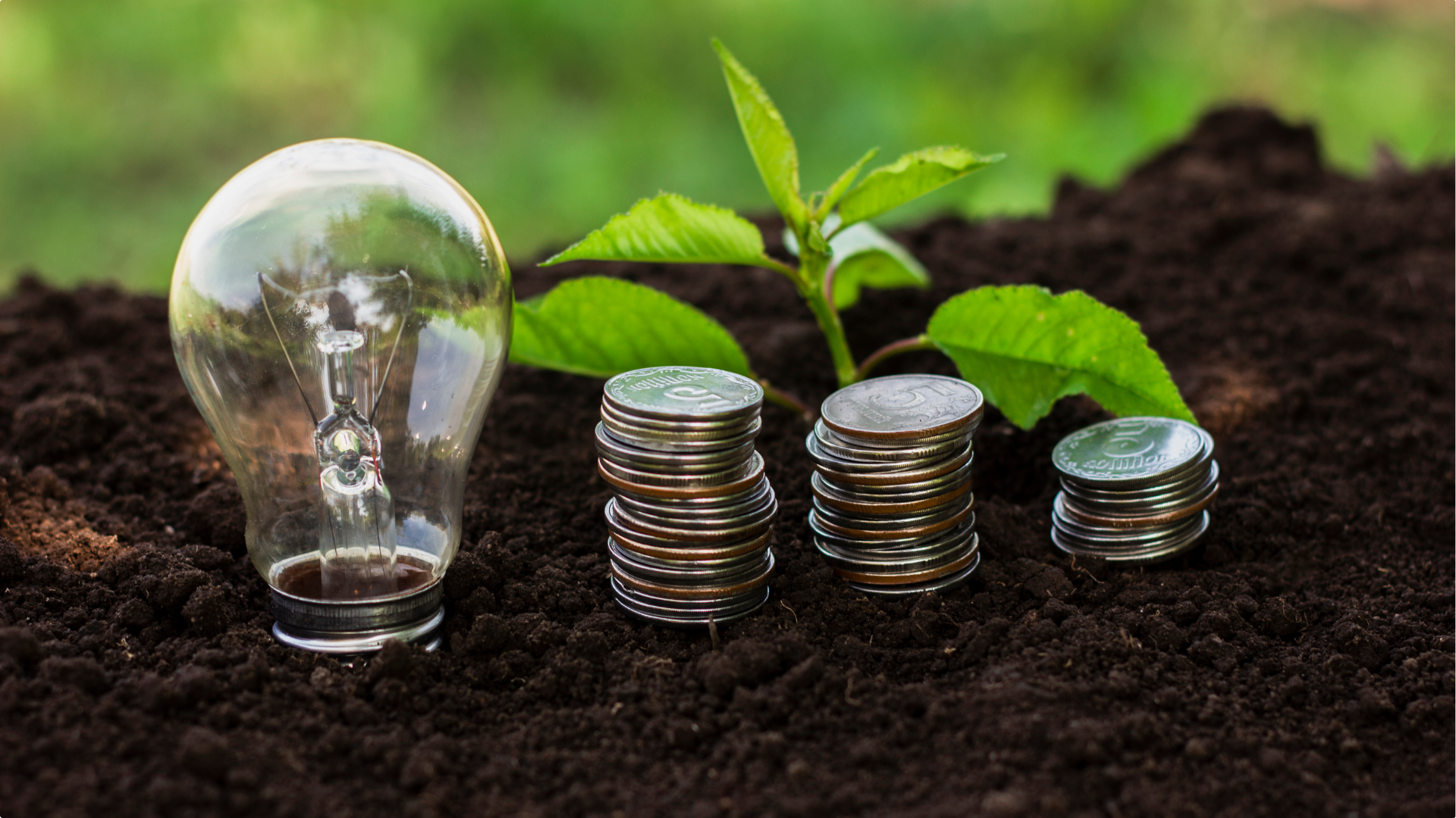 Você sabe o que é economia verde?